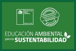 bandera-excelencia suentabildiad capin