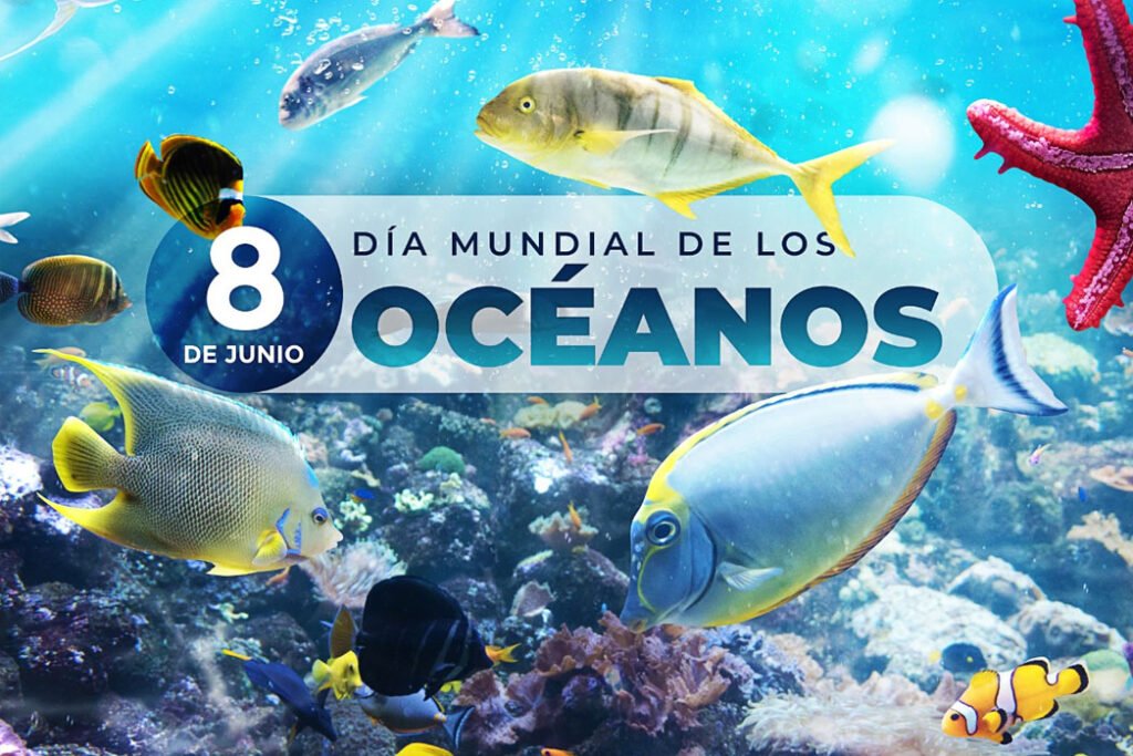 DÍA DE LOS OCEANOS